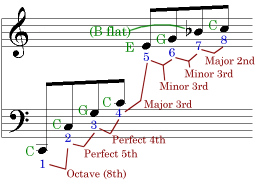 First eight harmonics